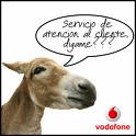 Hablando de servicio